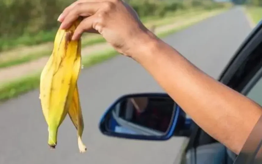 fd99ec39-d16c-40c6-888b-f99afd5c4406_16x9_1200x676